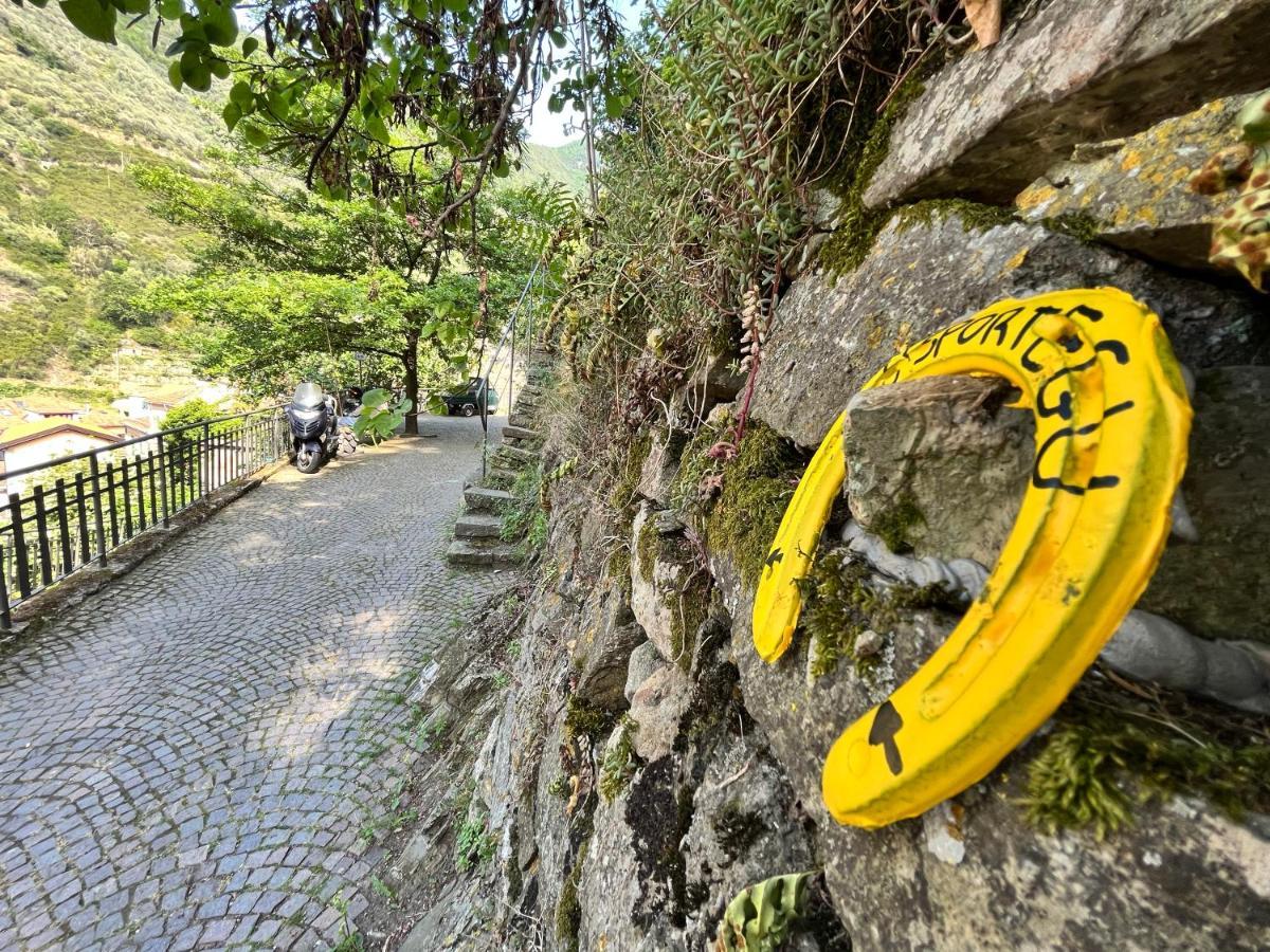 Alloggio U Sportegu Da E Monti A Giaia Vila Badalucco Exterior foto